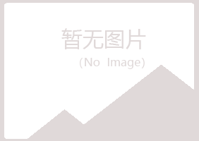 南川夜山木材有限公司